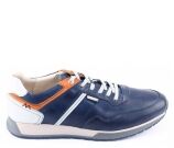 Kleur Blauw