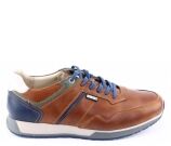 Kleur Cognac