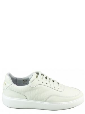 Rehab Rehab Taylor perf Wit