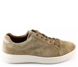 Kleur Taupe
