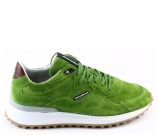 Kleur Groen
