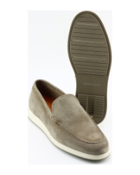 Berkelmans pinar Taupe