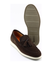 Berkelmans campo Donkerbruin