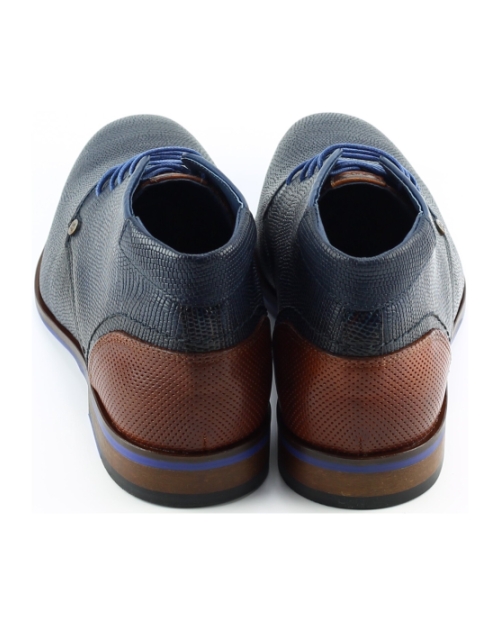 Berkelmans obera Donkerblauw