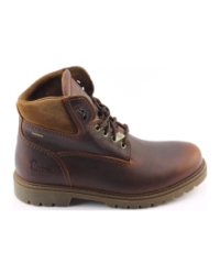 Panama Jack Amur Gtx BRUIN