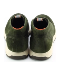 Berkelmans watkins Groen