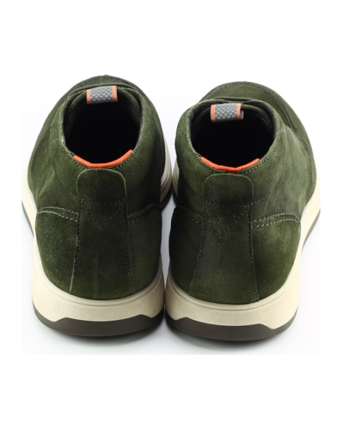 Berkelmans watkins Groen