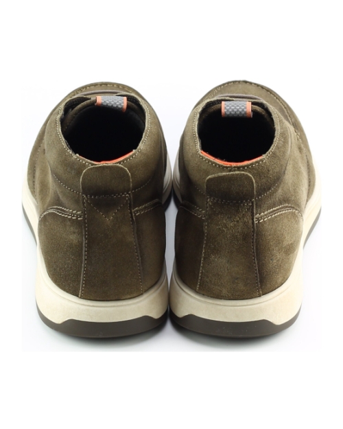 Berkelmans watkins Taupe