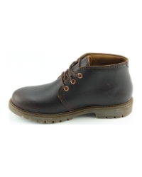 Panama Jack bota panama c44 Donkerbruin