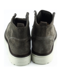 Rehab wolf sue BRUIN