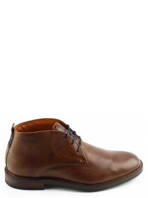 van Lier van Lier 2458211 Bruin van Lier van Lier 2458211 Bruin