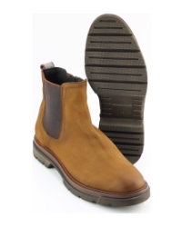 Berkelmans hita BRUIN