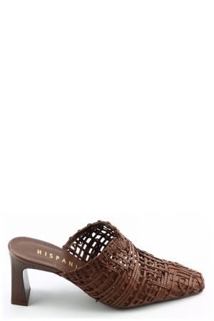 Hispanitas Hispanitas 264789 Bruin avvelana