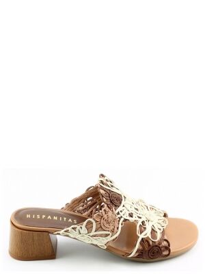 Hispanitas Hispanitas 264841 Bruin