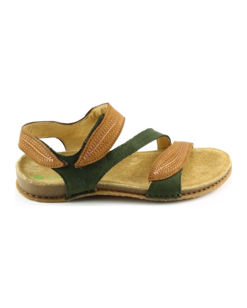 El Naturalista 5810 Pangalao BRUIN MULTI