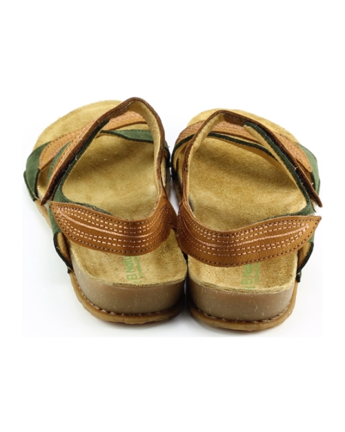 El Naturalista 5810 Pangalao BRUIN MULTI