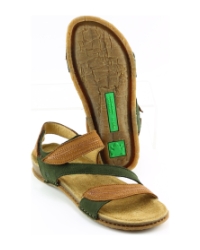 El Naturalista 5810 Pangalao BRUIN MULTI