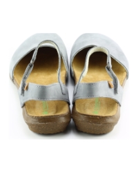 El Naturalista n412. wakataua Lichtblauw