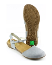 El Naturalista n412. wakataua Lichtblauw