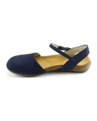 El Naturalista n412. wakataua Donkerblauw