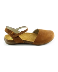 El Naturalista n412. wakataua cognac