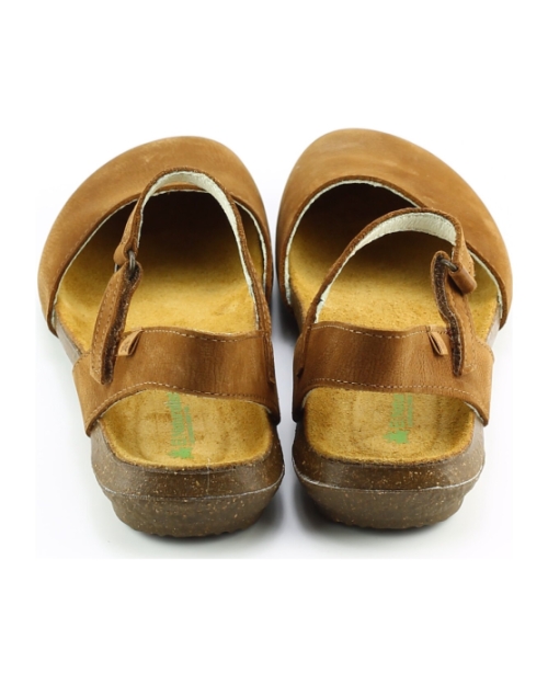 El Naturalista n412. wakataua cognac