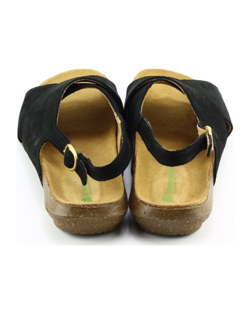 El Naturalista 5558 wakataua ZWART