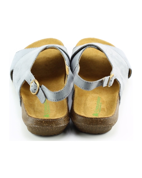 El Naturalista 5558 wakataua Lichtblauw