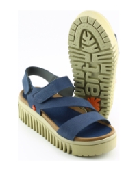 Art 1573 brigton Blauw