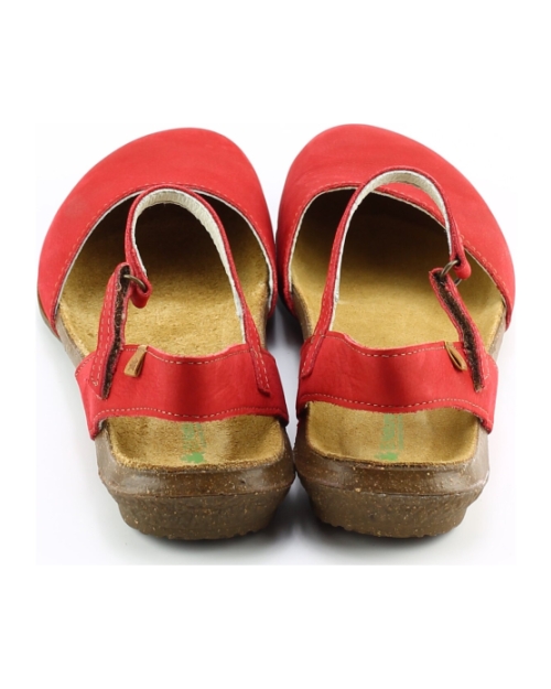 El Naturalista n412 wakataua Rood