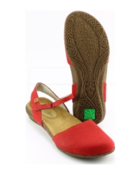 El Naturalista n412 wakataua Rood