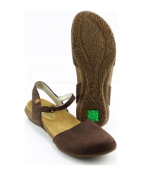 El Naturalista n412 wakataua Donkerbruin