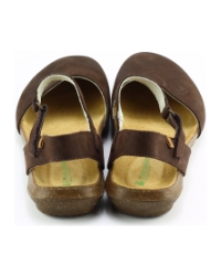 El Naturalista n412 wakataua Donkerbruin