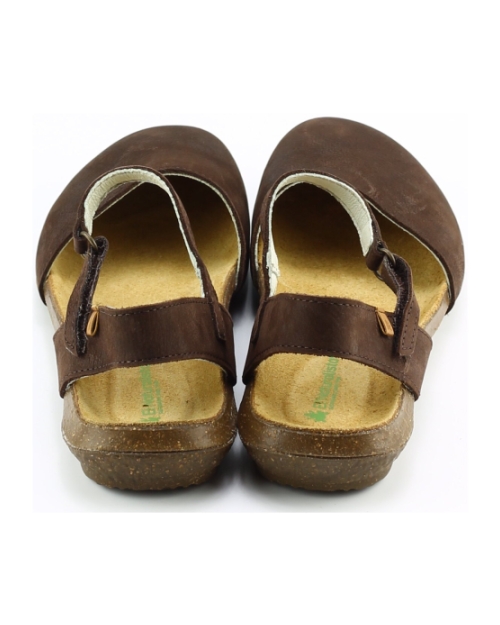 El Naturalista n412 wakataua Donkerbruin