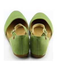 El Naturalista nd54 Groen