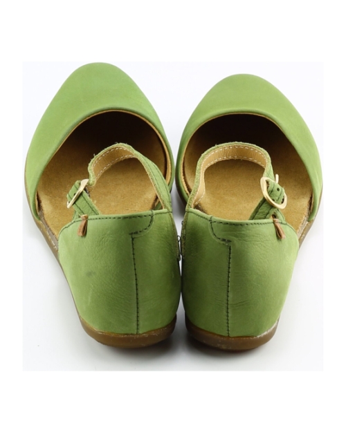 El Naturalista nd54 Groen