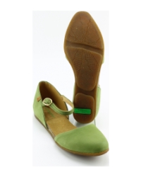 El Naturalista nd54 Groen