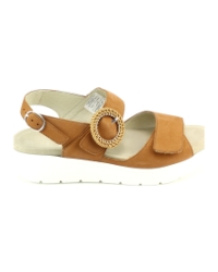 Solidus 48022 cognac