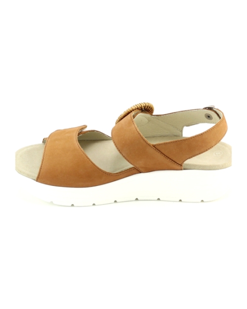 Solidus 48022 cognac