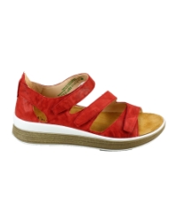 Think 3-000795 Rood