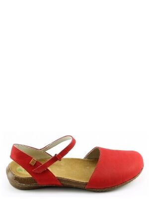 El Naturalista El Naturalista n412 wakataua Rood