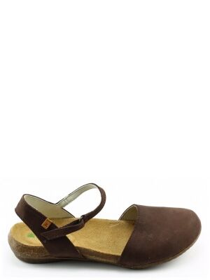 El Naturalista El Naturalista n412 wakataua Bruin