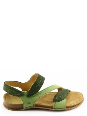 El Naturalista El Naturalista n5810s panglao Groen