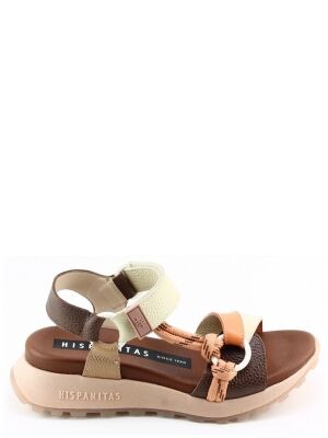 Hispanitas Hispanitas 264869 Bruin