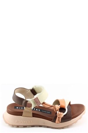 Hispanitas Hispanitas 264869 Bruin avelana coral