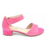Kleur Rose