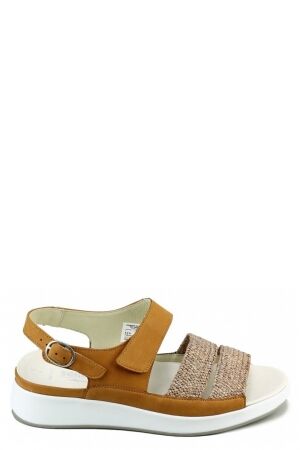 Solidus Solidus 75033 Cognac 30671 muskat Solidus Solidus 75033 Cognac 30671 muskat