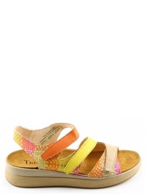 Think Think 3-000585 Bruin