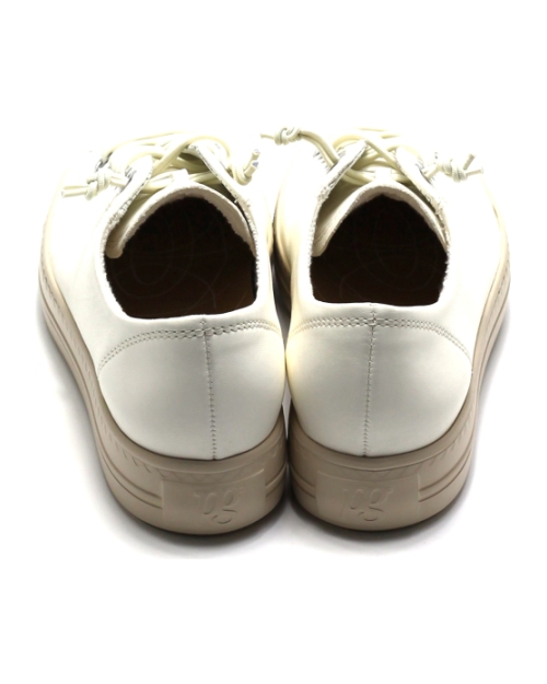 Paul Green 4081 ROOM