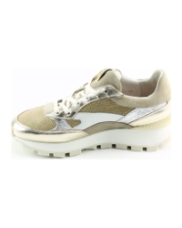 Floris van Bommel SFW-10098 Goud